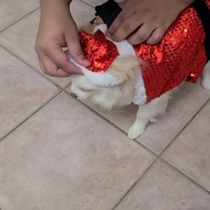 Meet your Posher, Alba